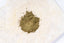 Matcha Chai