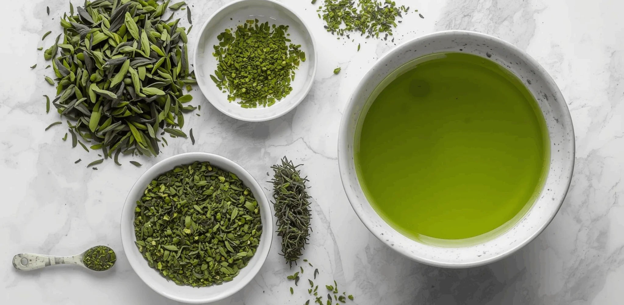 ¿Cuál es el Mejor Té Verde? Análisis para Elegir la Opción Ideal según tus Necesidades