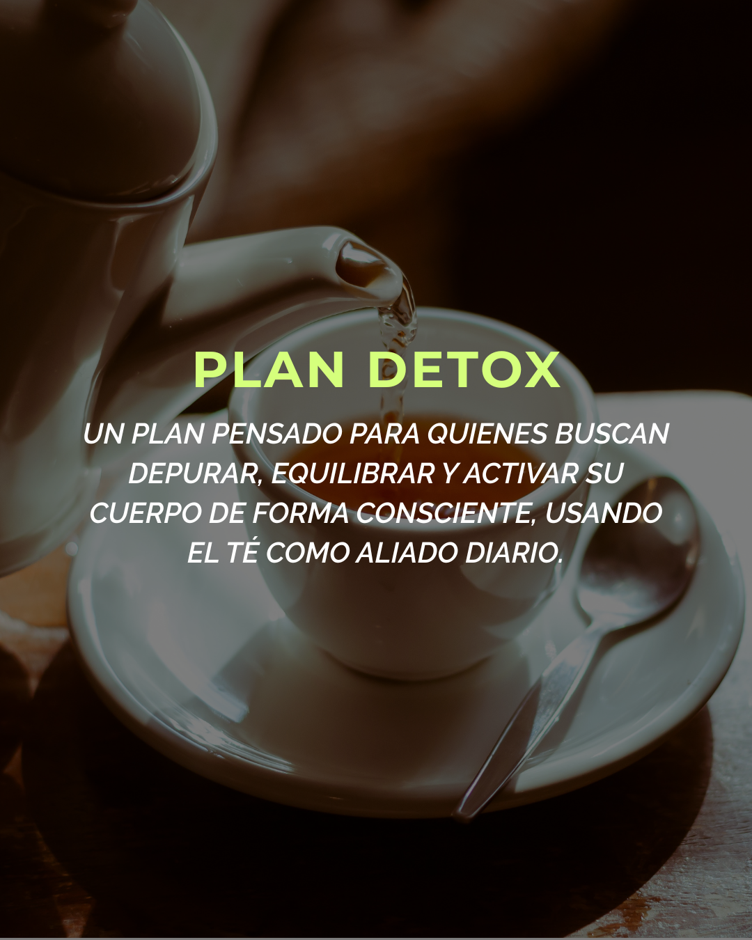 Plan Detox 15 Días Imagen principal del producto