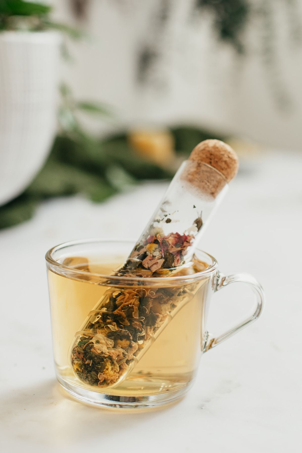 Infusor Vidrio