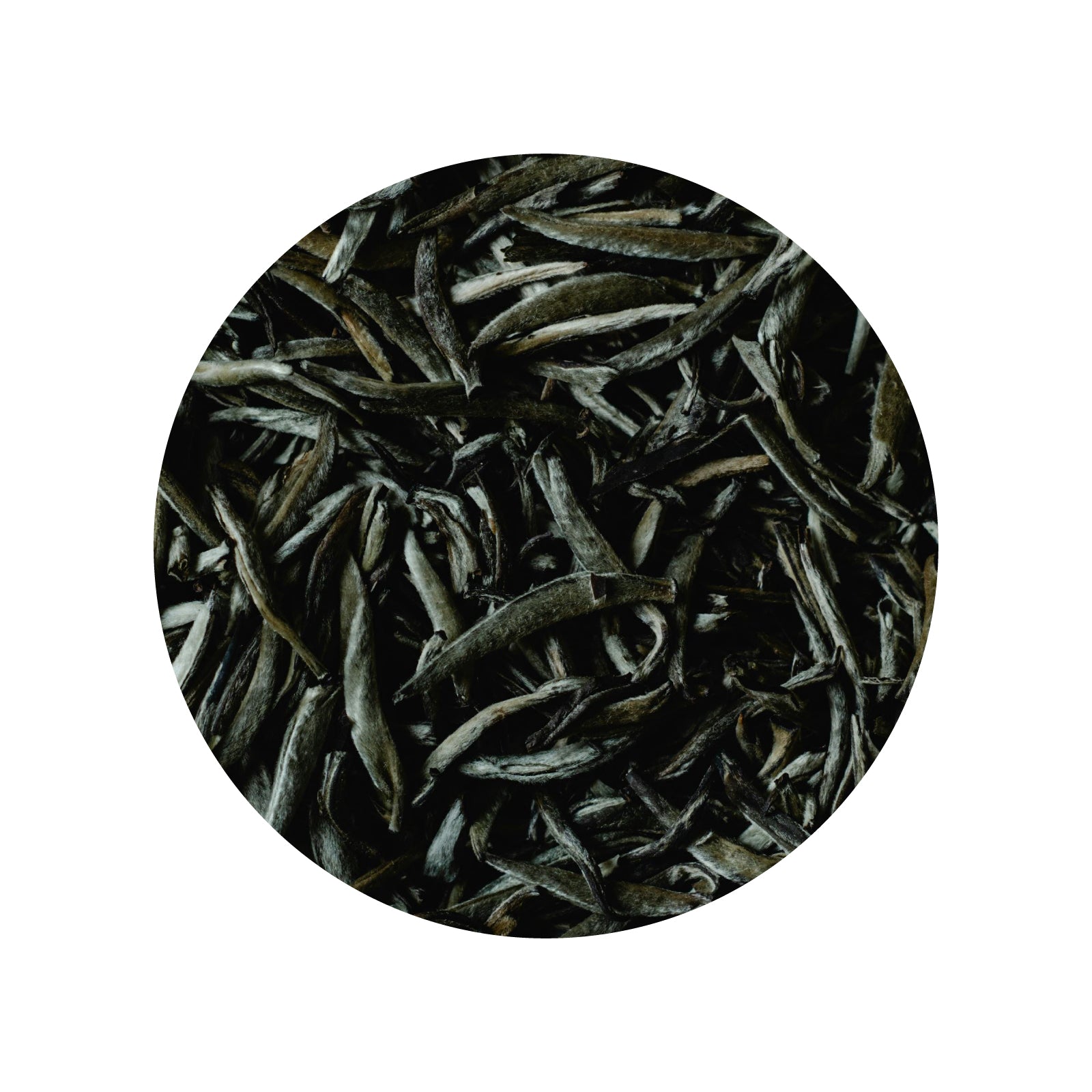 Verde Tea Market Imagen principal del producto